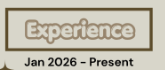 Experience